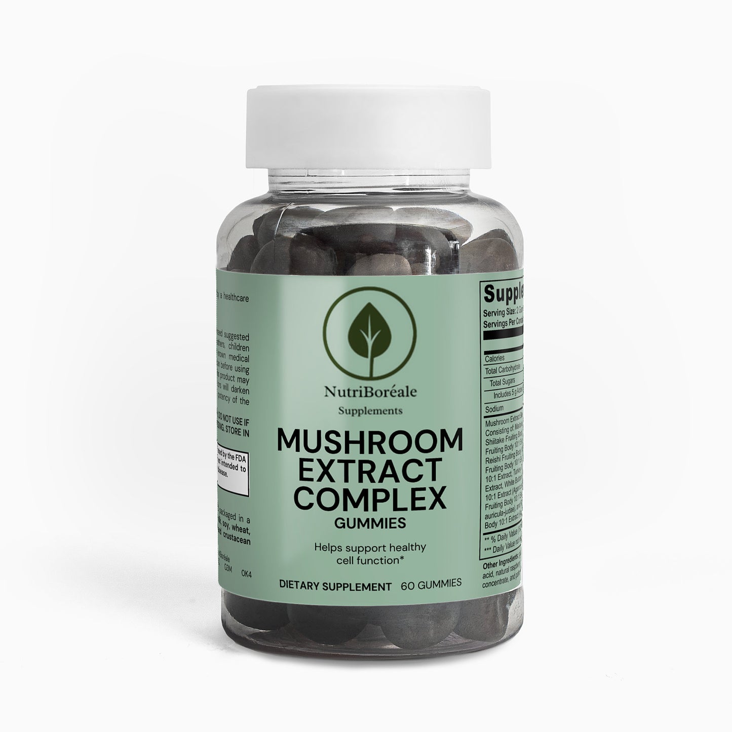 Gummies Extraits Concentrés de Champignons Médicinaux